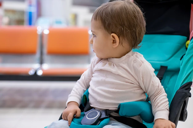 A Simple Guide to Baby Strollers on a Plane River Baby