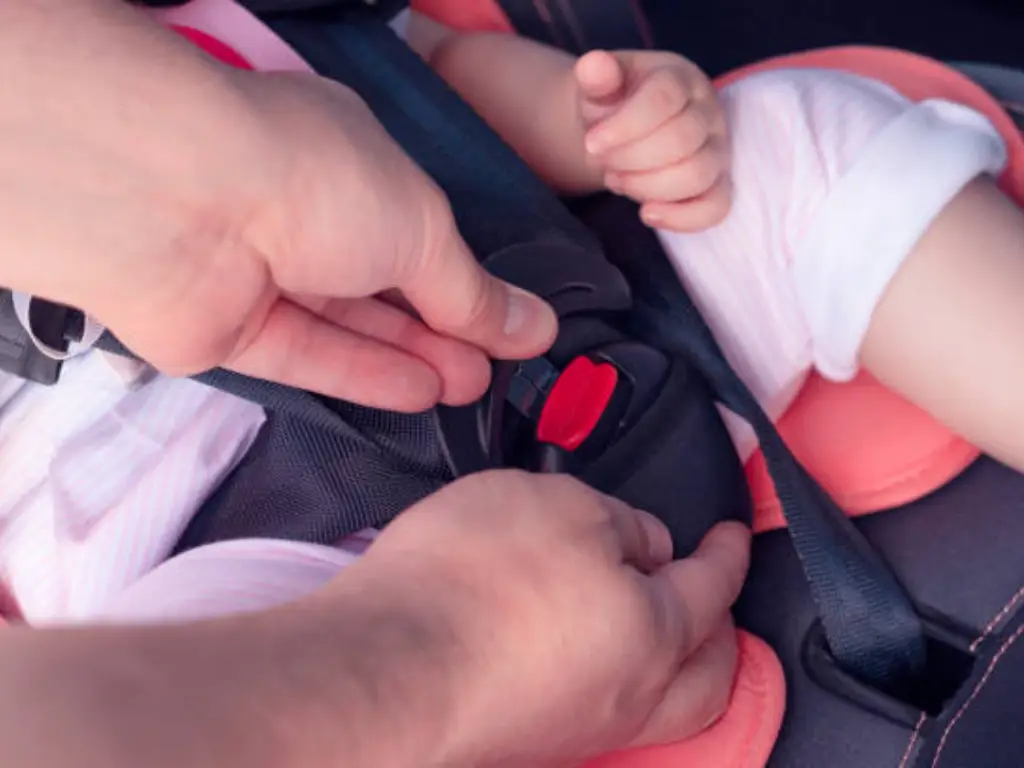 car seat harness